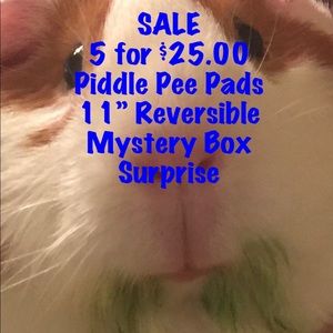 Sale Sale Mystery Set of 5 Piddle Pads 11” Square New Reversible Guinea Pig Buns